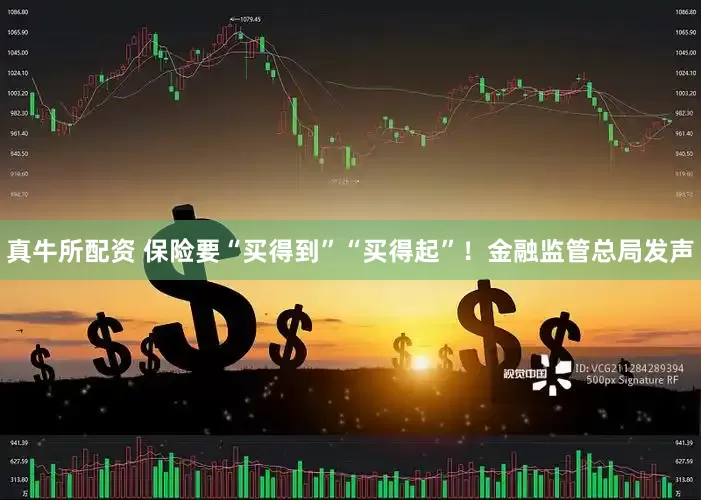 真牛所配资 保险要“买得到”“买得起”！金融监管总局发声